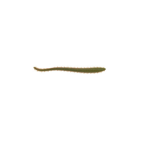 GSSW6-C SW GULP SNDWRM 6IN CAMO 14