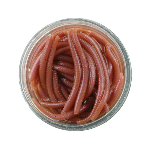 GAJAW-NAT GULP ALIVE ANGLE WORM NATRL 79