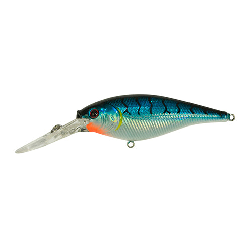 FFSH4M-BT FLCKR SHAD MED 4CM BLUE TIGER