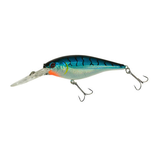 FFSH9M-BT FLCKER SHD 9CM BLUE TIGER