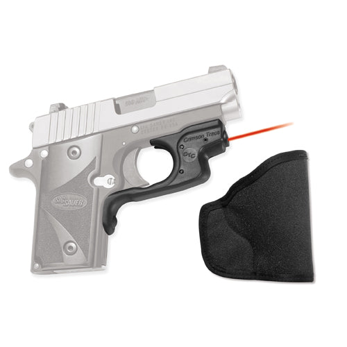 Sig Sauer P238 w/ Hlst