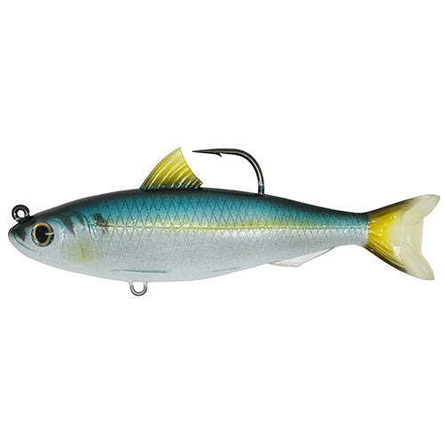 Blueback Herring,6 1/2