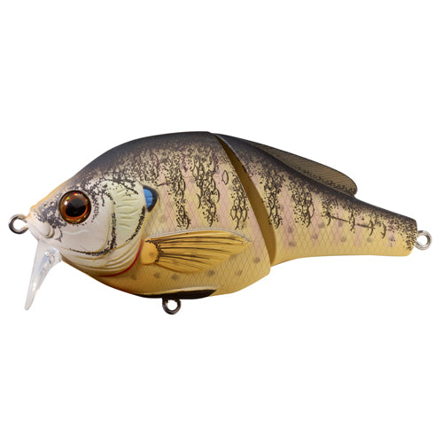 Bluegill Wakebait,tte,#2