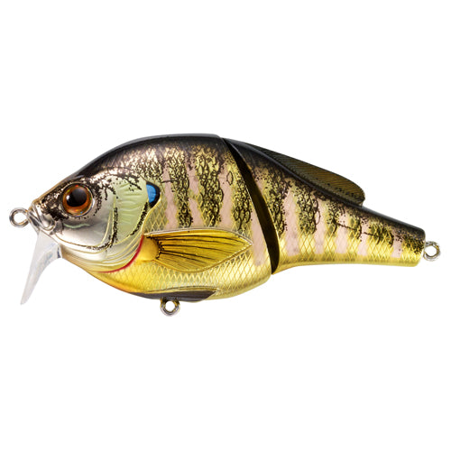 Bluegill Wakebait,oss,#2