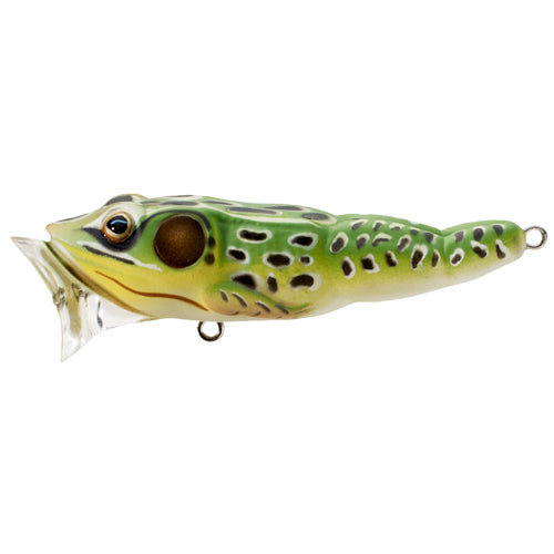 Frog Popper,green/yellow,#4