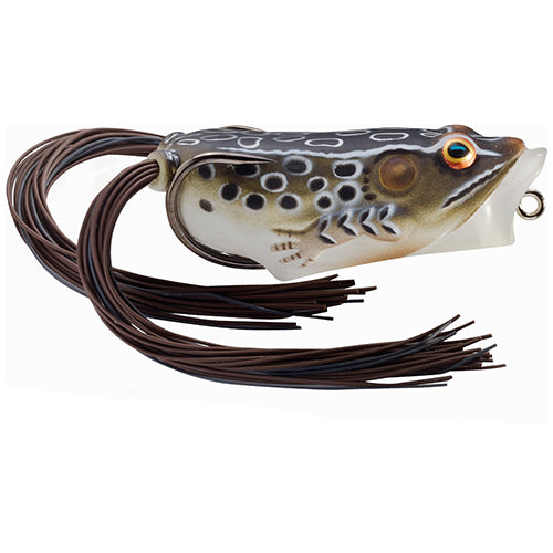 Frog 2 1/2