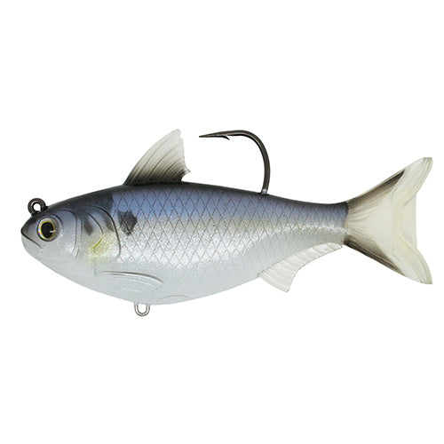 Gizzard Shad,5 1/2