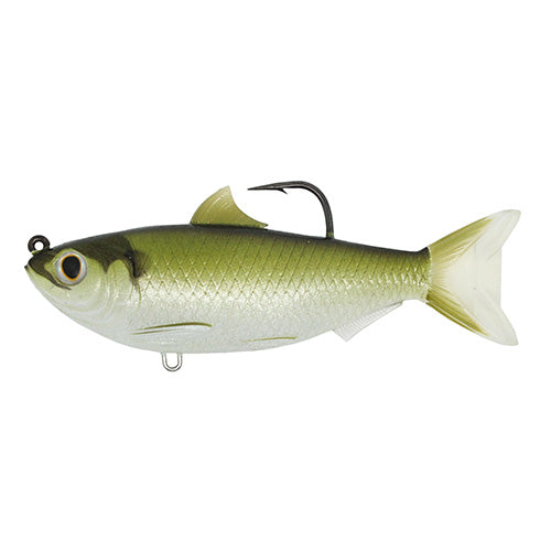 Threadfin Shad,3 1/2