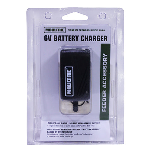 6 volt battery charger