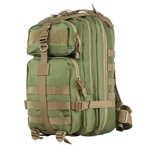 Vism Small Backpack/Green With Tan Trim
