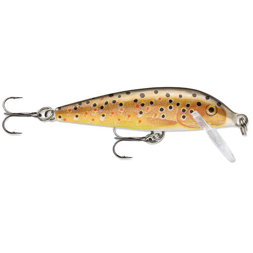CountDown 03  Brown Trout
