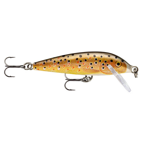 CountDown 05  Brown Trout