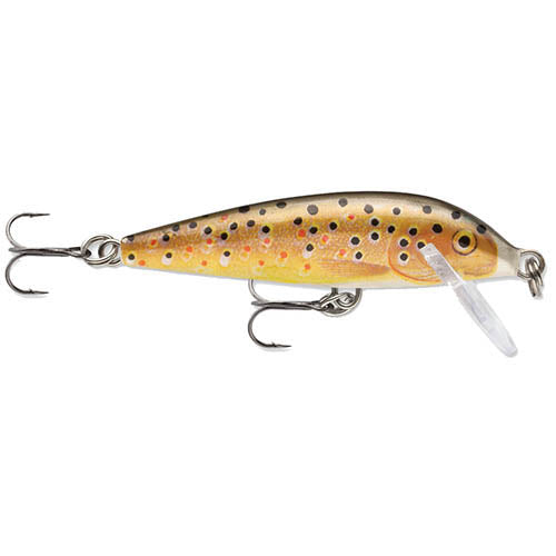 CountDown 07  Brown Trout