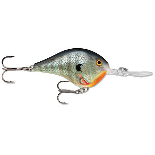 Dives-To 06  Bluegill