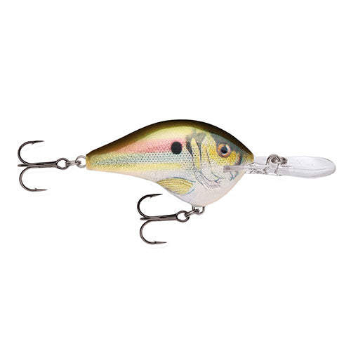 Dives-To 10  Live River Shad