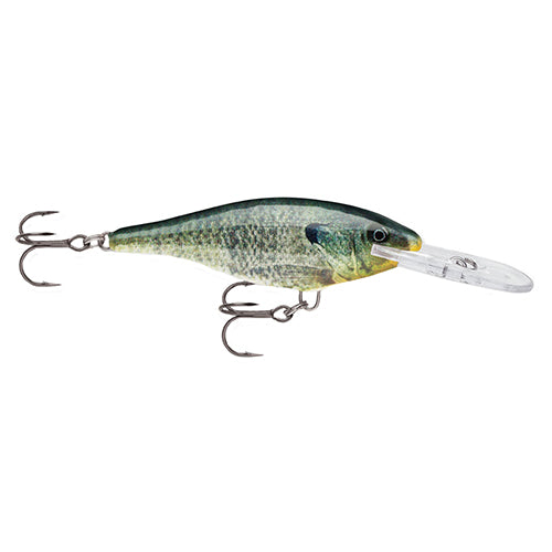 Shad Rap 05  Live Bluegill