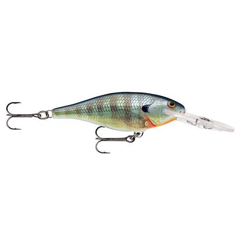 Shad Rap 07  Blue Gill
