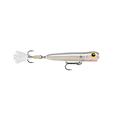 Chug Bug 06  Shad